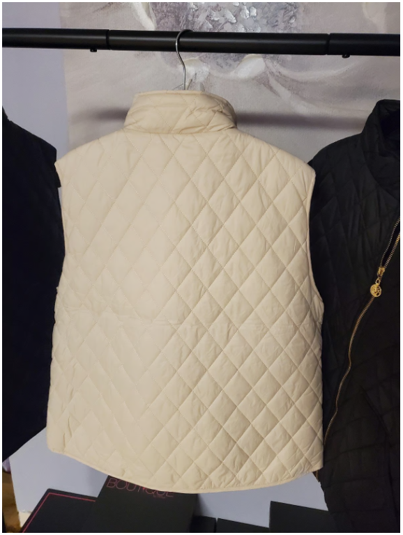 Puffy Vest - Aryeh - Grace-Puffer Vest Women Sleeveless Zip Up Outerwear Stand Collar Quilted Vest Warm Winter Jackets Coats with Pocket