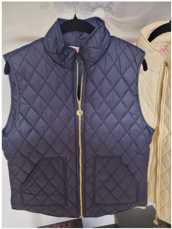 Puffy Vest - Aryeh - Grace-Puffer Vest Women Sleeveless Zip Up Outerwear Stand Collar Quilted Vest Warm Winter Jackets Coats with Pocket