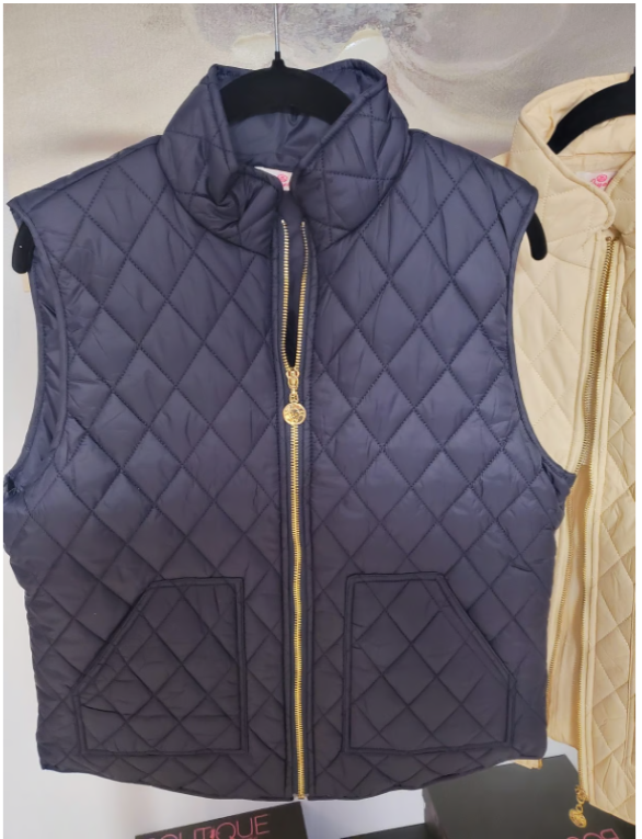 Puffy Vest - Aryeh - Grace-Puffer Vest Women Sleeveless Zip Up Outerwear Stand Collar Quilted Vest Warm Winter Jackets Coats with Pocket